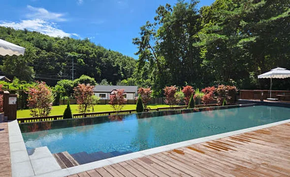 도그마실 케니스메이저