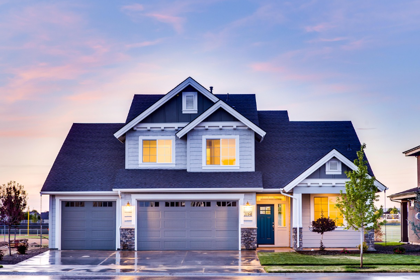 비 오는 날 반려동물과 함께하는 실내 활동 베스트 10