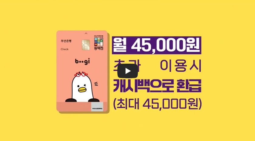 전국 최초🚌대중교통 통합 할인제도 ❘ 동백패스