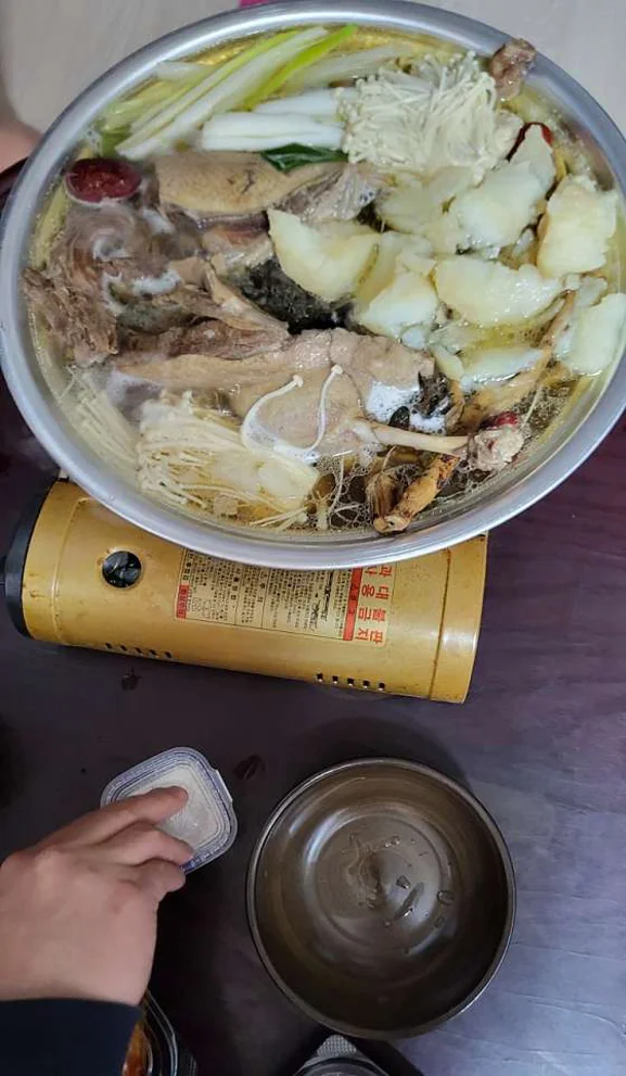 금산참능이