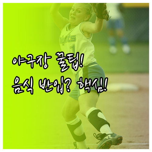 야구장 음식 반입 가능과 금지 품목 ..