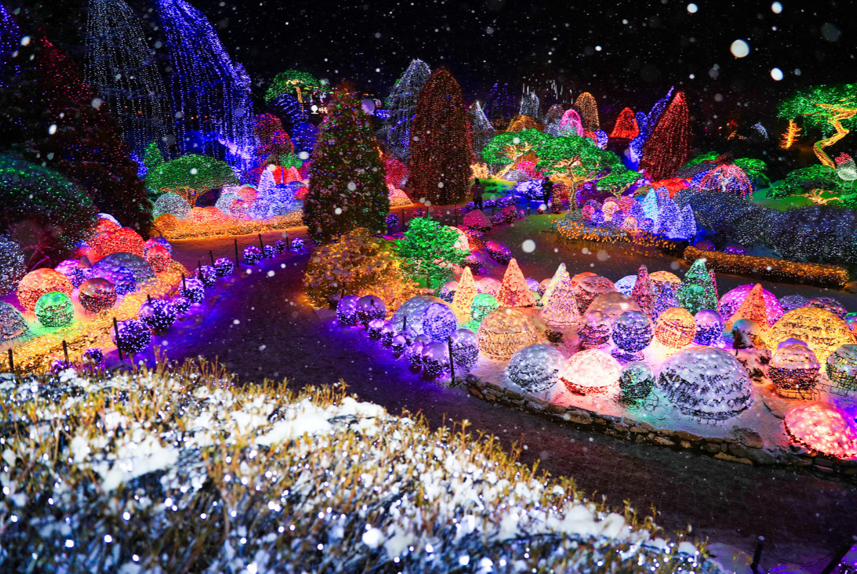 아침고요수목원