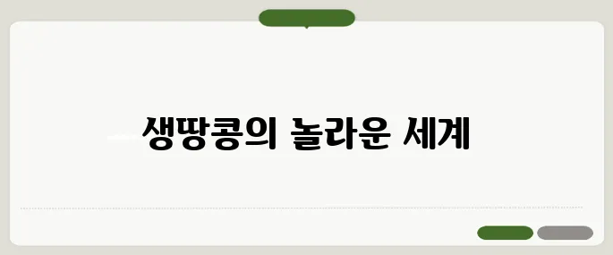 생땅콩 알아보기 지금 확인해보세요