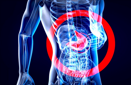 과학으로 본 음식물 소화 과정