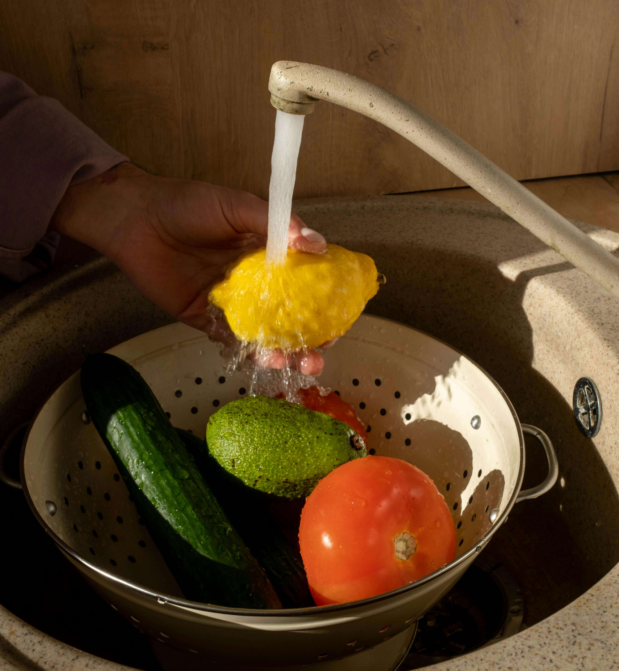 초파리 발생원인과 예방 및 퇴치방법(내돈내산 꿀팁까지)