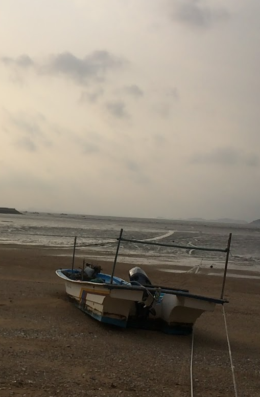 숲 속 vs 바닷가 : 맨발 걷기 최적지는 어디가 좋을까?