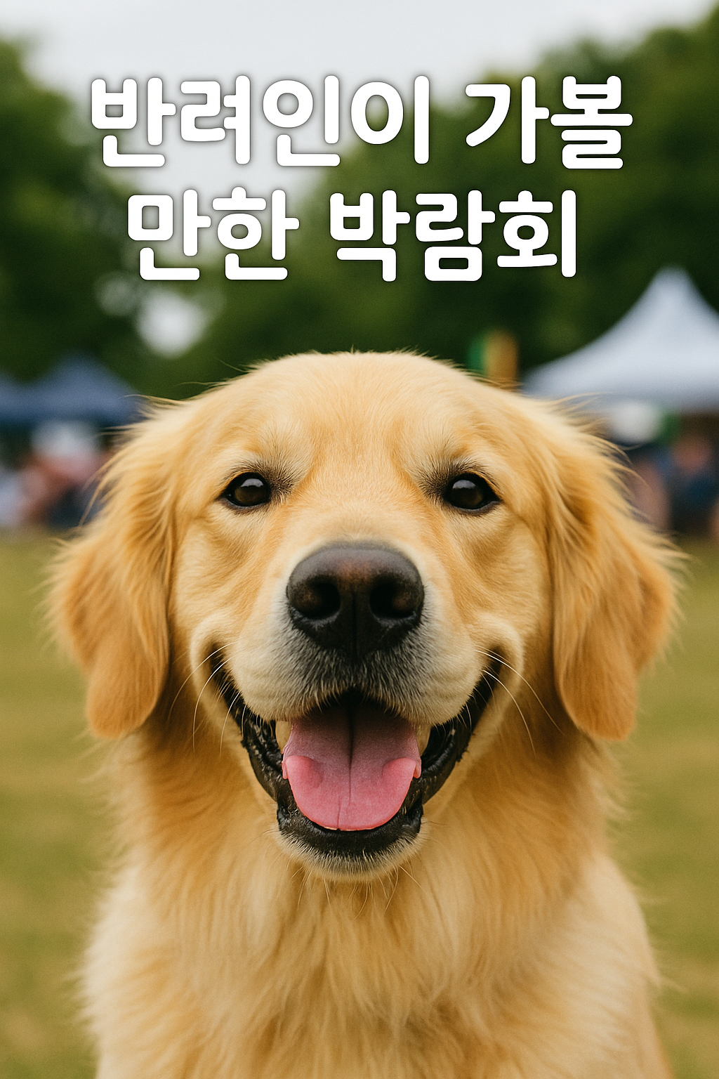리트리버 강아지가 웃으며 정면을 쳐다보고 있다.