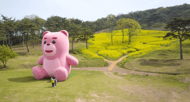 2024 화순 고인돌 가을꽃 축제