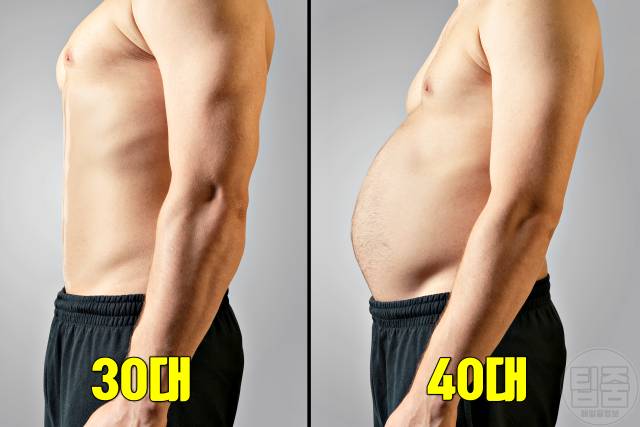 나잇살 찌는 이유 나이살 얼굴 뱃살 팔뚝살 근감소증