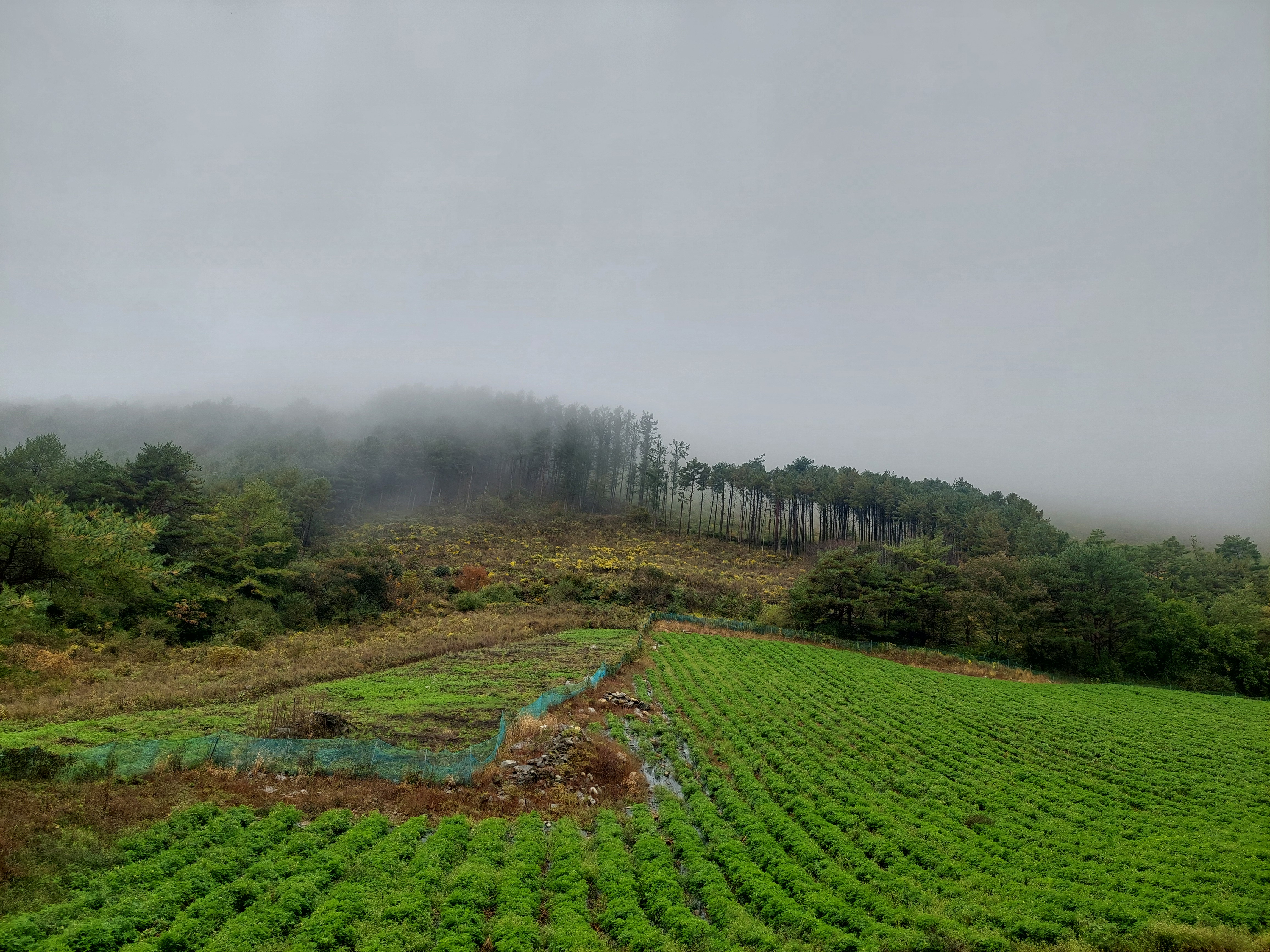 민둥산