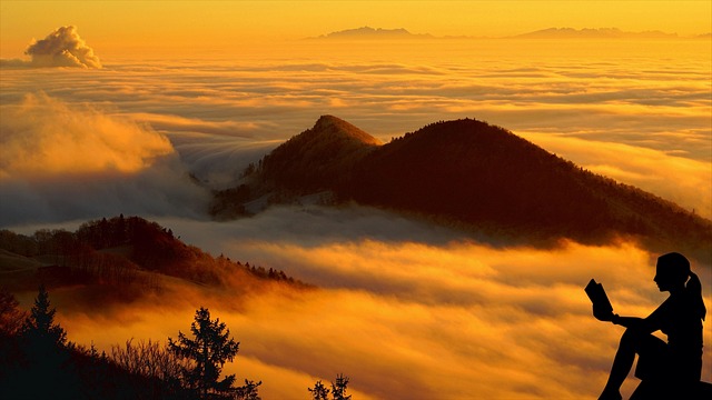 독서 철학적 분위기