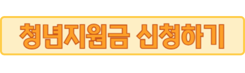 청년지원금