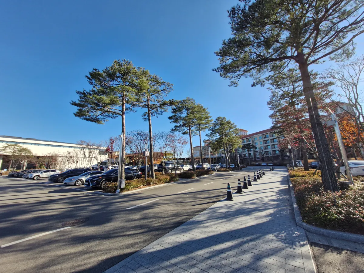 넓게-만들어져-있는-설해원-주차장