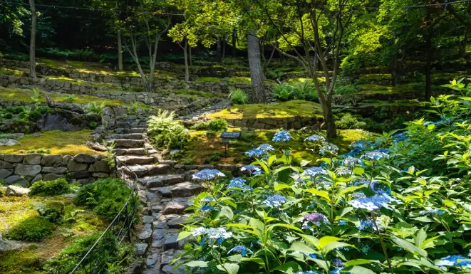 2026 화담숲 봄시즌 예약방법 시즌 기간 모노레일 입장료 꿀팁 정리