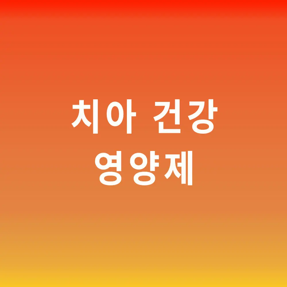 치아 건강 영양제