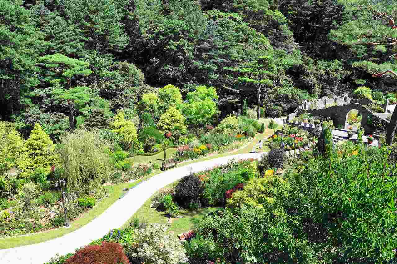 아침고요수목원 수국전시회&amp;#44; 6월 방문객이 몰리는 진짜 이유 3가지