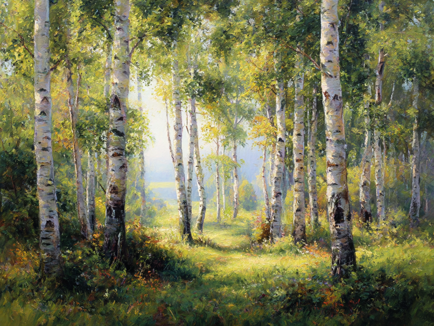 용인 자작나무숲