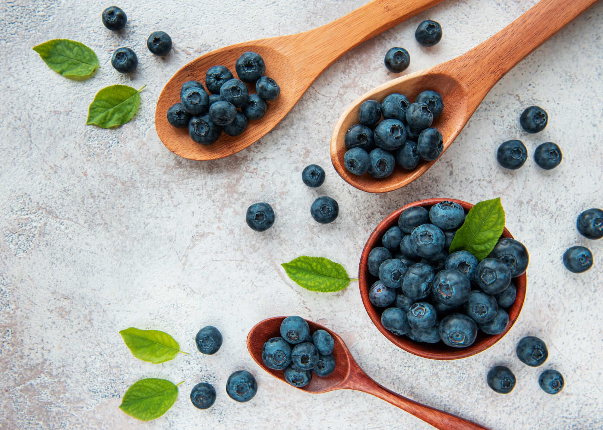 나무 숟가락에 담긴 신선한 블루베리, 그레이 톤 배경 위에 흩뿌려진 베리들