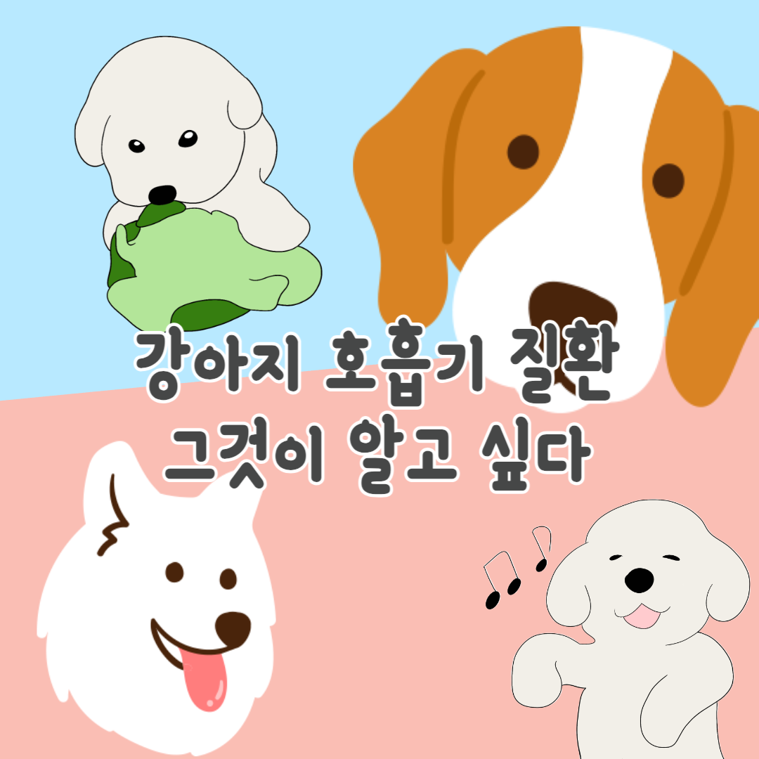 강아지 호흡기 질환