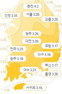 2024-개나리-개화시기