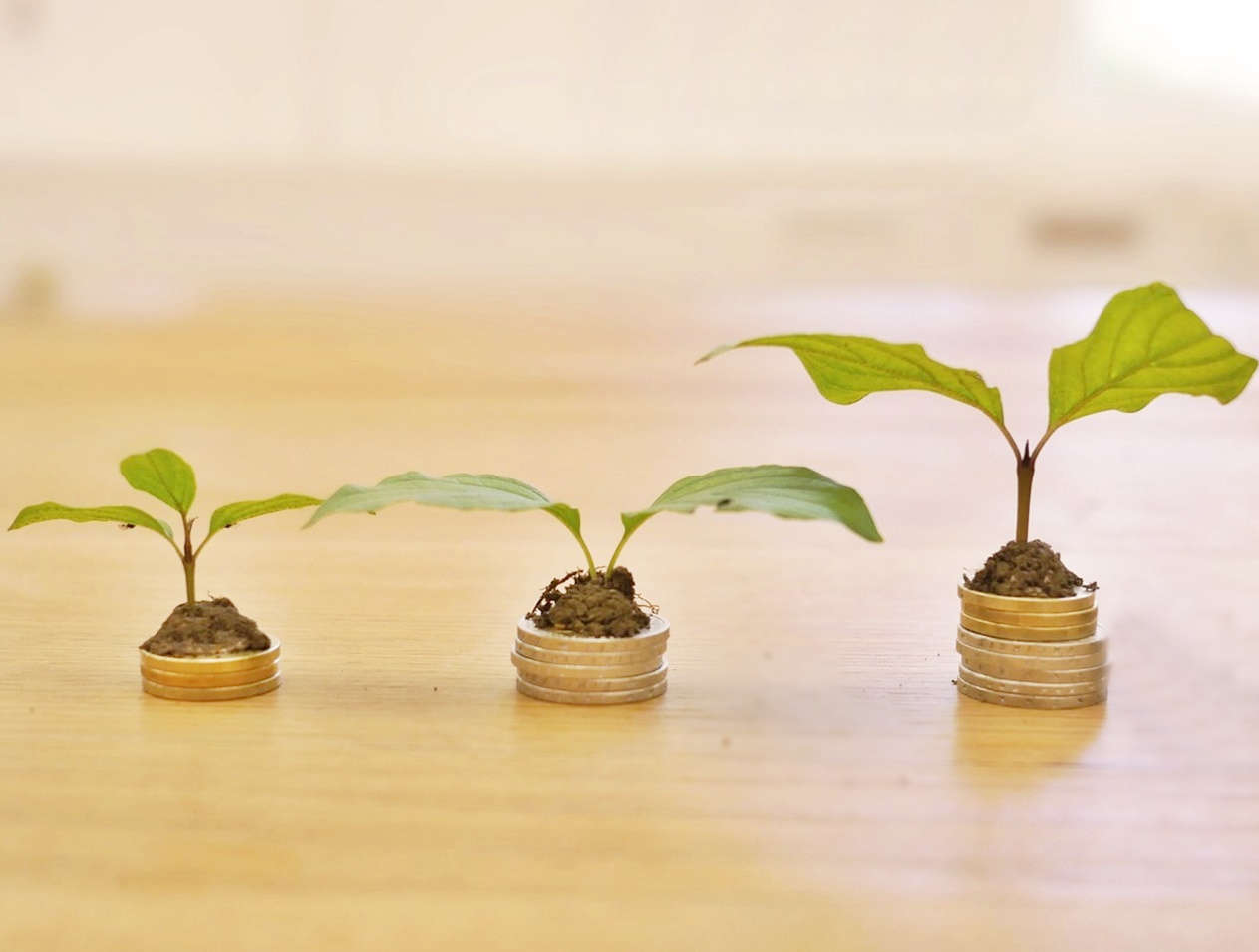 왜 &lsquo;월 고정 수입&rsquo; 자산이 다시 주목받는가!