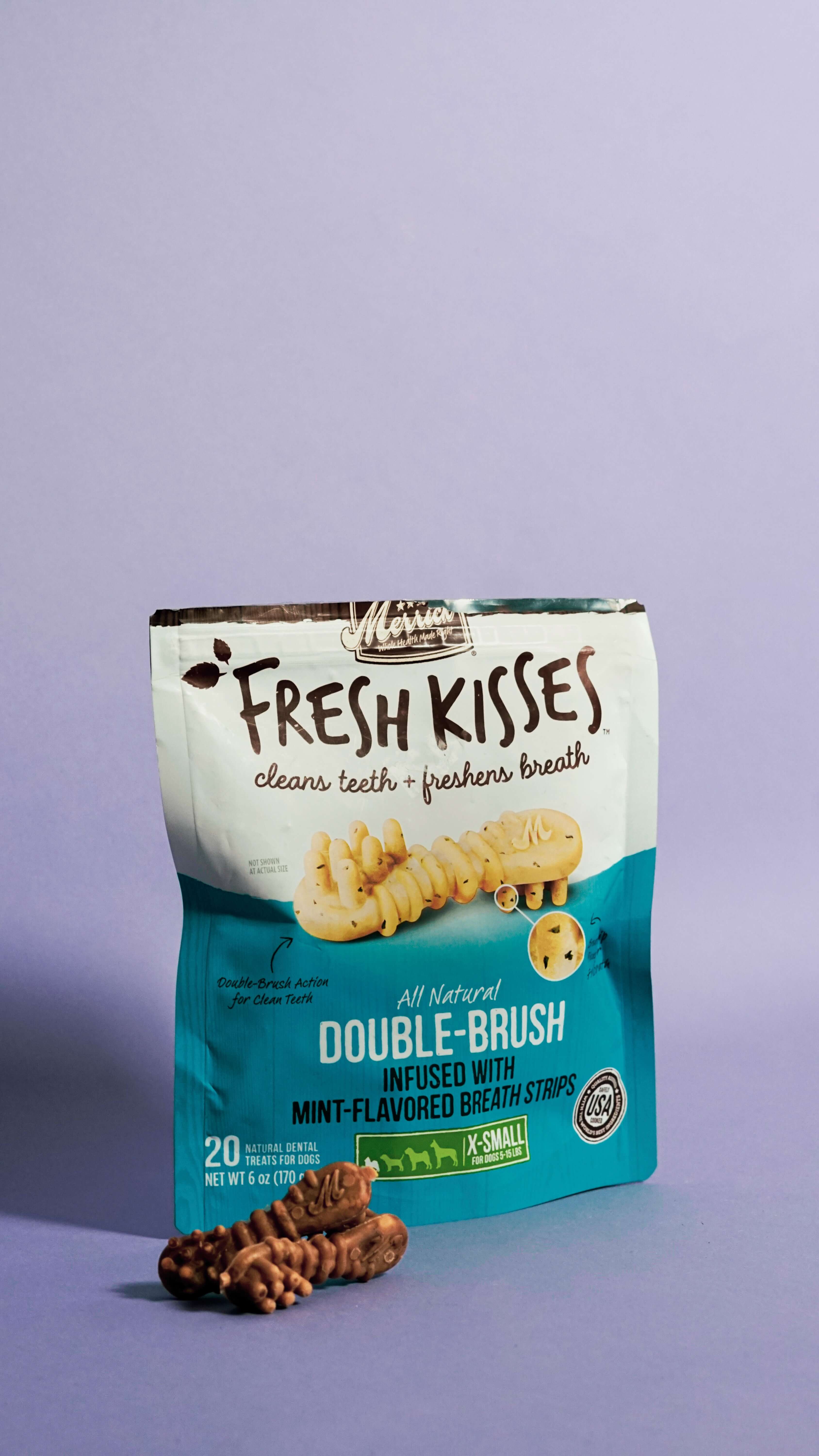 푸들 강아지를 위한 최고의 사료 선택하기