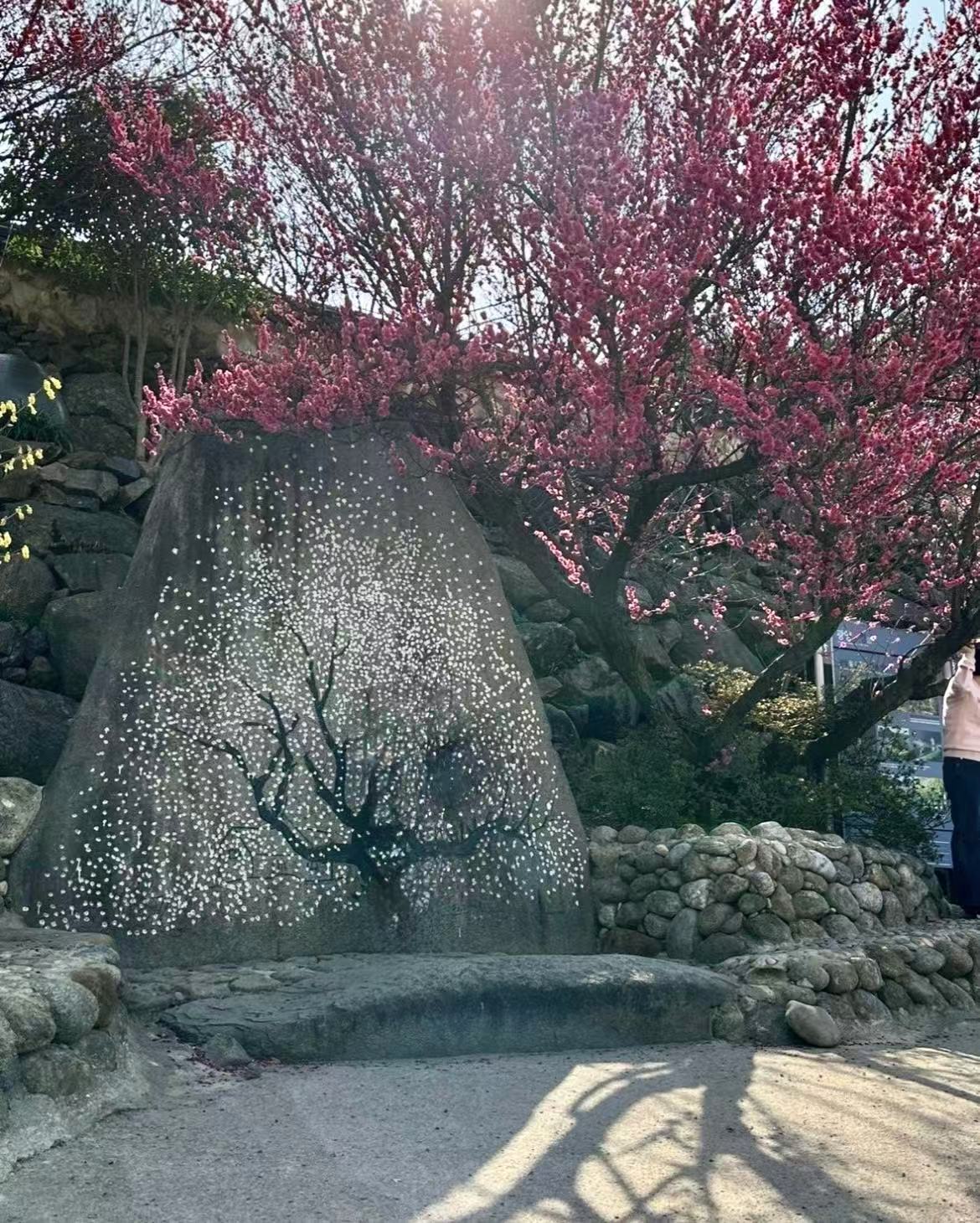 올봄 SNS 난리 난 거창 병곡마을 외 전국 벚꽃 명소 BEST 7 관련사진