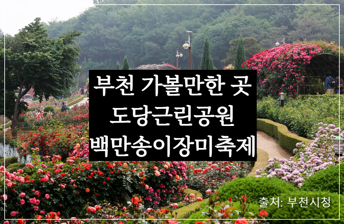 부천 백만송이 장미 도당 공원, 장미꽃 축제 가는 길(꽃말)