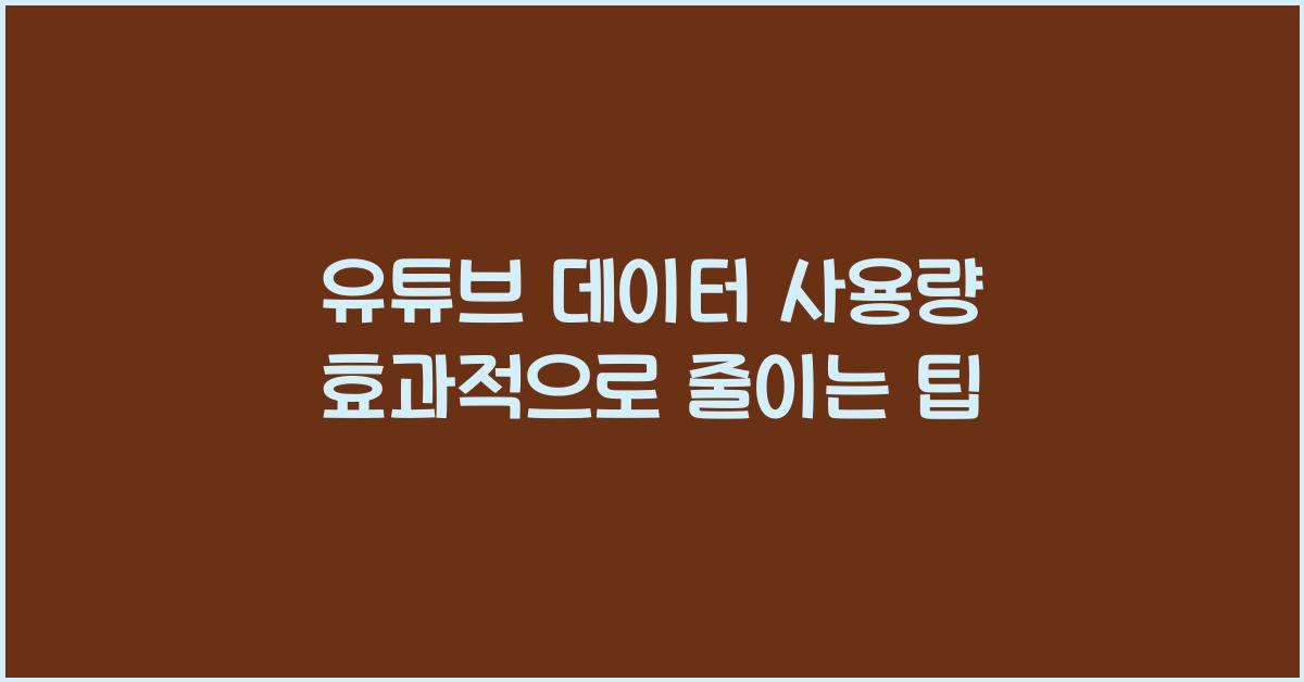 유튜브 데이터 사용량