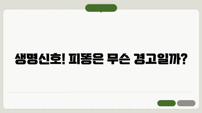 피똥싸는이유