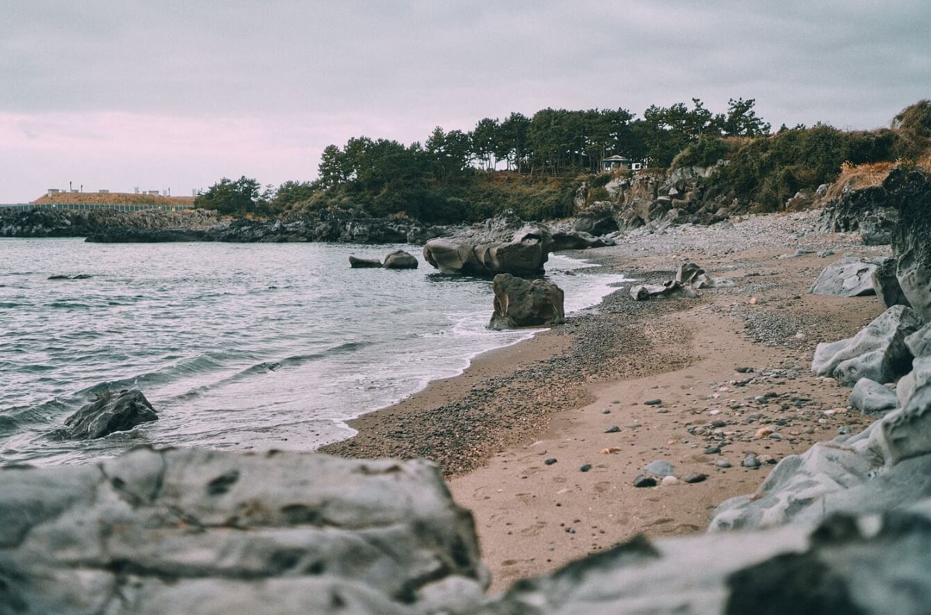 초보자도 쉽게 도전! 걷기 좋은 올레길 BEST 5 🌿