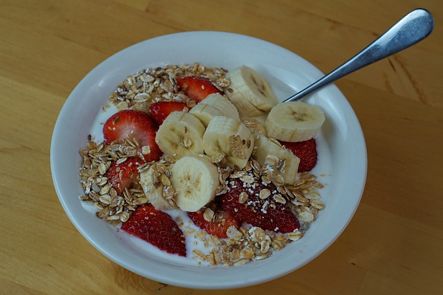 프로바이오틱스 와 프리바이오틱스의 차이와 효능