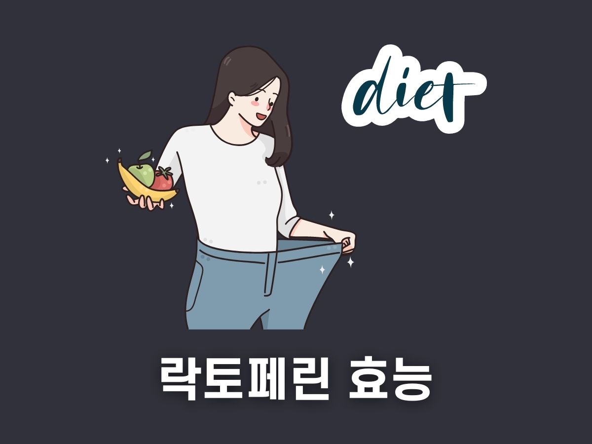 락토페린 효능