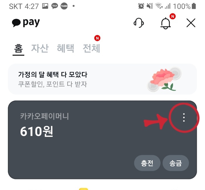 카카오페이머니-세로점세개