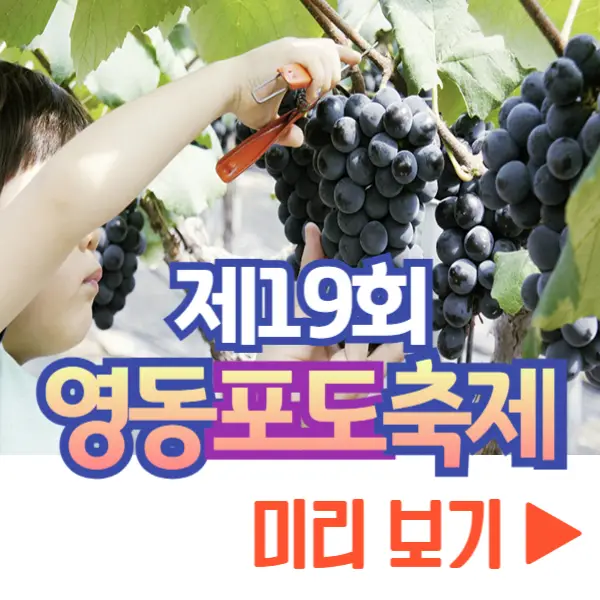 영동포도축제