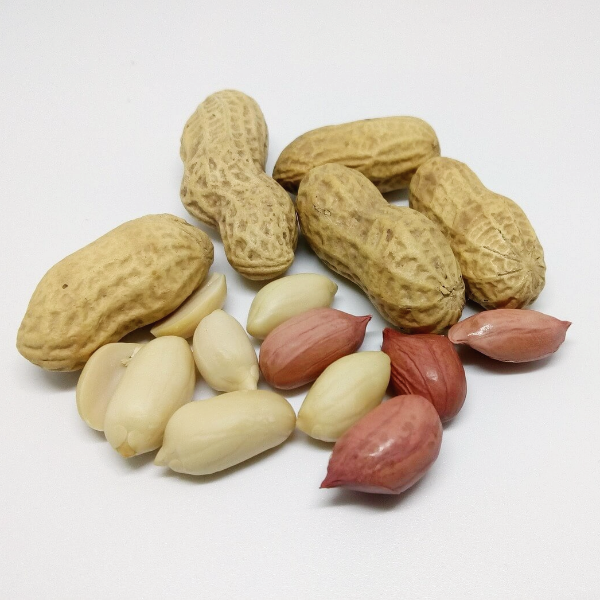 아르기닌의 효능 영양제 부작용 사진 15