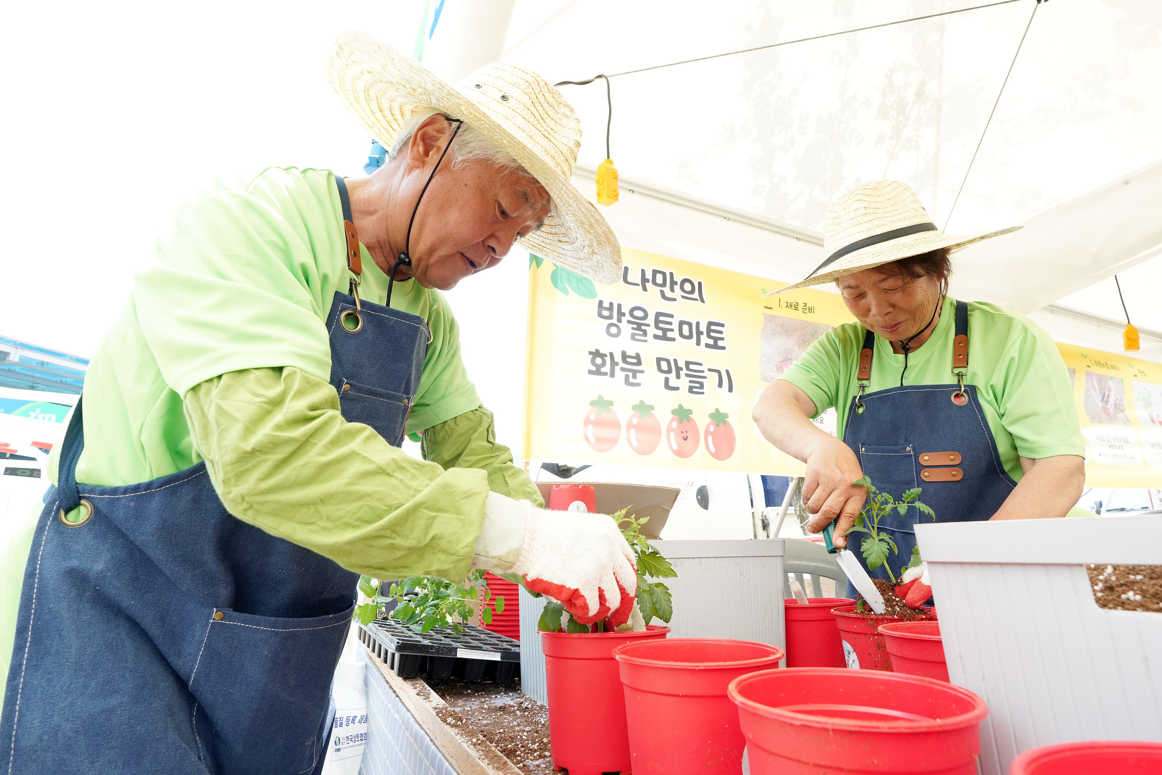 광주시 대표 여름축제! 퇴촌토마토거리축제! 일정, 초대가수, 주차안내까지!