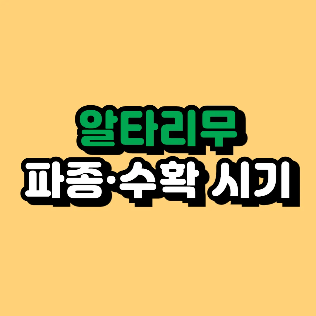 알타리무 파종시기