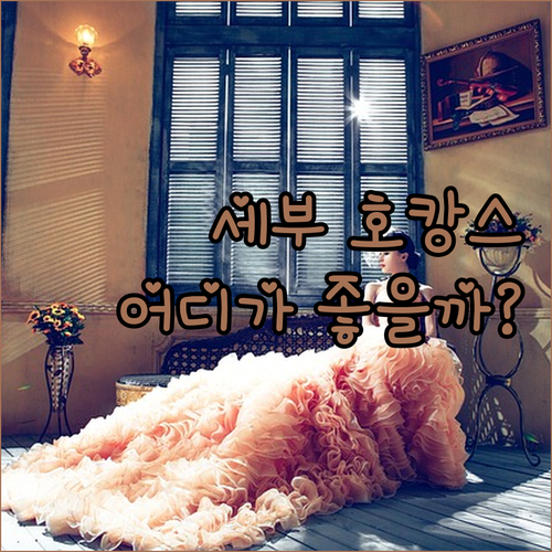 세부 호캉스 어디로? 가성비 & 럭셔