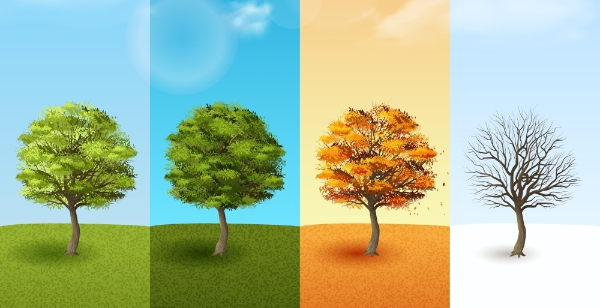 광의 세기·파장과 광합성 속도