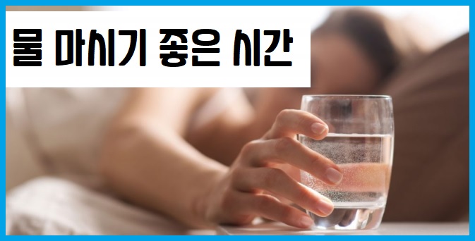 물 마시는 시간