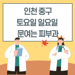 인천 중구 토요일 일요일 피부과 진료 병원 리스트