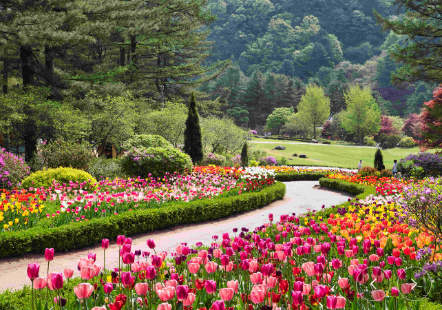 아침고요수목원