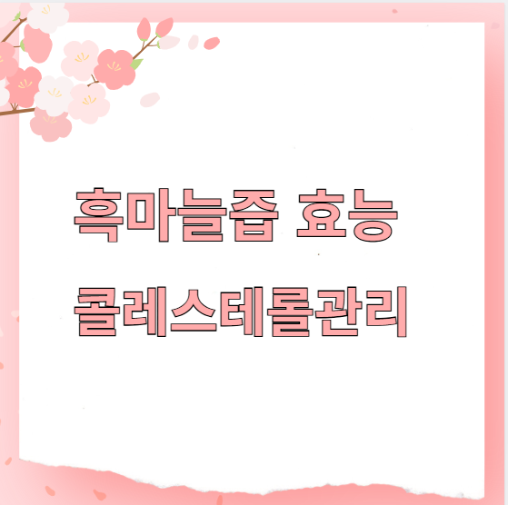 흑마늘즙 효능 콜레스테롤관리