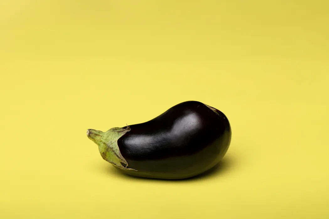 가지-사진