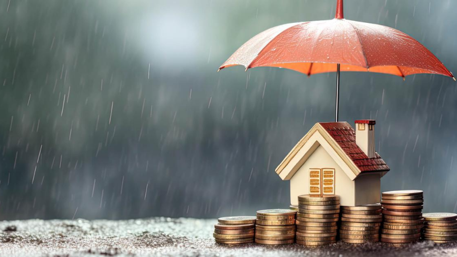 지역신용보증재단 특례보증