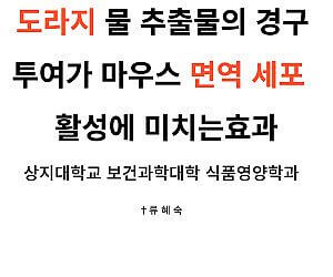 도라지 물 면역세포 활성화 논문