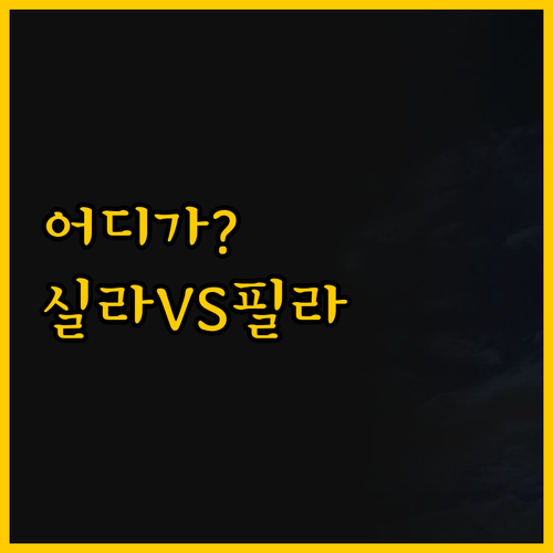 바티칸 도보권 호텔 실라와 테르미니 ..