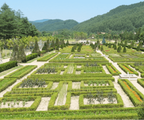 단풍여행 당일 단풍버스여행