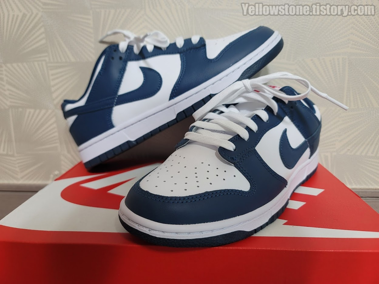 나이키 덩크 로우 레트로 발레리안 블루 nike dunk low retro valerian blue